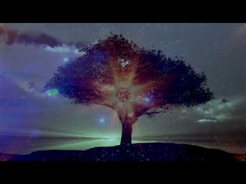 Reincarnation (featuring Katie Barbato and Brett Kull)