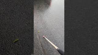 【ロービジョンの日常Vlog】雨の日の帰り道 #vlog #雨 #ロービジョン #網膜色素編変性症 #白杖   #スマイリーココ