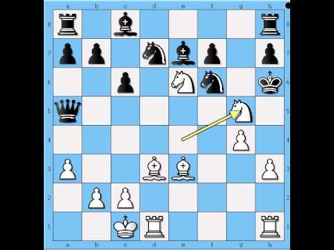 Napad na Kralja uz zrtvu Dame - DIEMER vs LOCHER - Blackmar Diemer gambit # 535