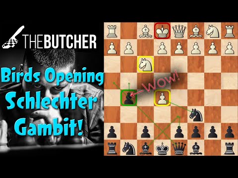 KILL The Bird! Schlechter Gambit!!
