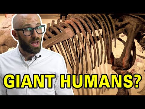 What Did People Think When They First Found Dinosaur Bones? Video