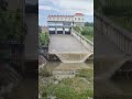 Water Flow Of Dam Shortsvideo