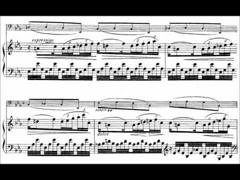 Gabriel Fauré - Op.24, Élégie (Gaisford, Melgar)