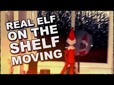 Real Elf On The Shelf Caught Moving On Camera