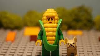 Diary of a small Asian - 2. The sweet questions