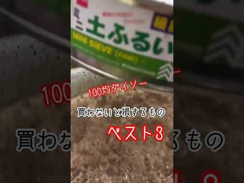 3月から庭に植える赤い葉を持つ多肉植物トップ3  庭園