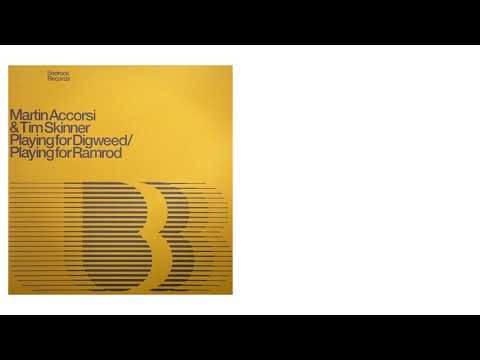 Tim Skinner/Martin Accorsi - Playing for Digweed (Remix 2 & 3) [Official Audio]