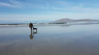 Dog out of water.