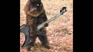 Lynyrd Skynyrd T for Texas 1975