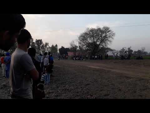 Dog race at sohni 2017