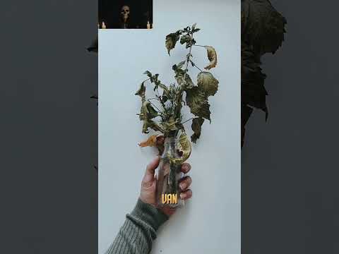 ¿Qué significan las rosas marchitas en un altar de la Santa Muerte?
