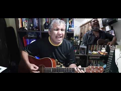 Elefante Branco - Tigres de Bengala
