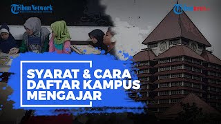 Telah Dibuka! Berikut Syarat dan Cara Daftar Kampus Mengajar 2021, Dapat Insentif Uang Saku