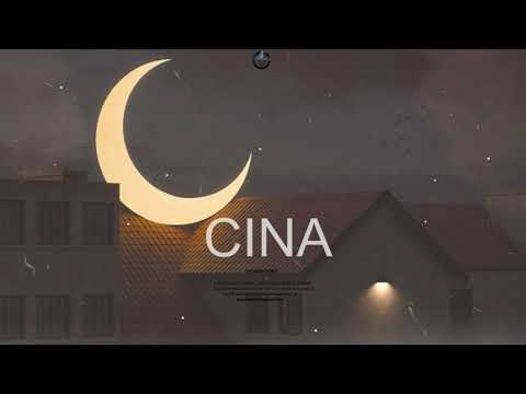 "Cina" Afrobeat Instrumental x Quamina Mp x Tulenkey  - Adidas type beat (Prod by Pizole Beats)