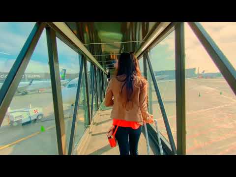 Life will begin again and WCA can help you