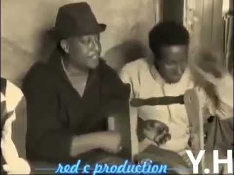 freweyni goytom afewerki,