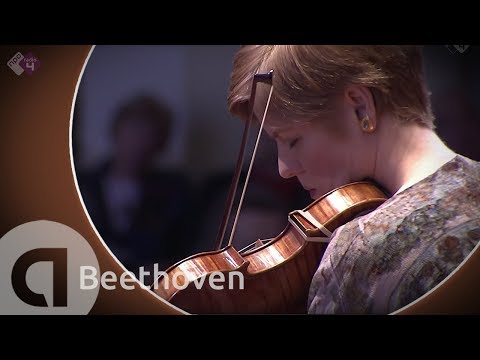 download lagu mp3 mp4 Mozart Beethoven Violin Concertos, download mp3 Mozart Beethoven Violin Concertos free download mp3, download mp3 Mozart Beethoven Violin Concertos