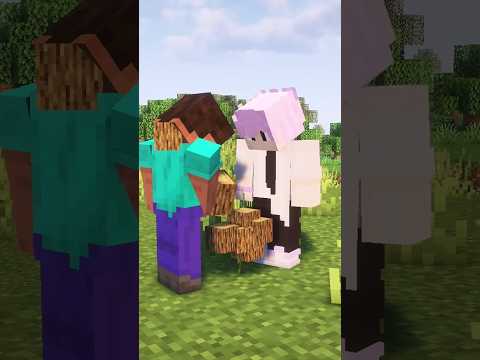 Never Team Up with Steve in Minecraft