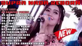 Download lagu Full Album ambyar - Supranada reborn 2019 mp3 Download lagu Full Album ambyar - Supranada reborn 2019 mp3