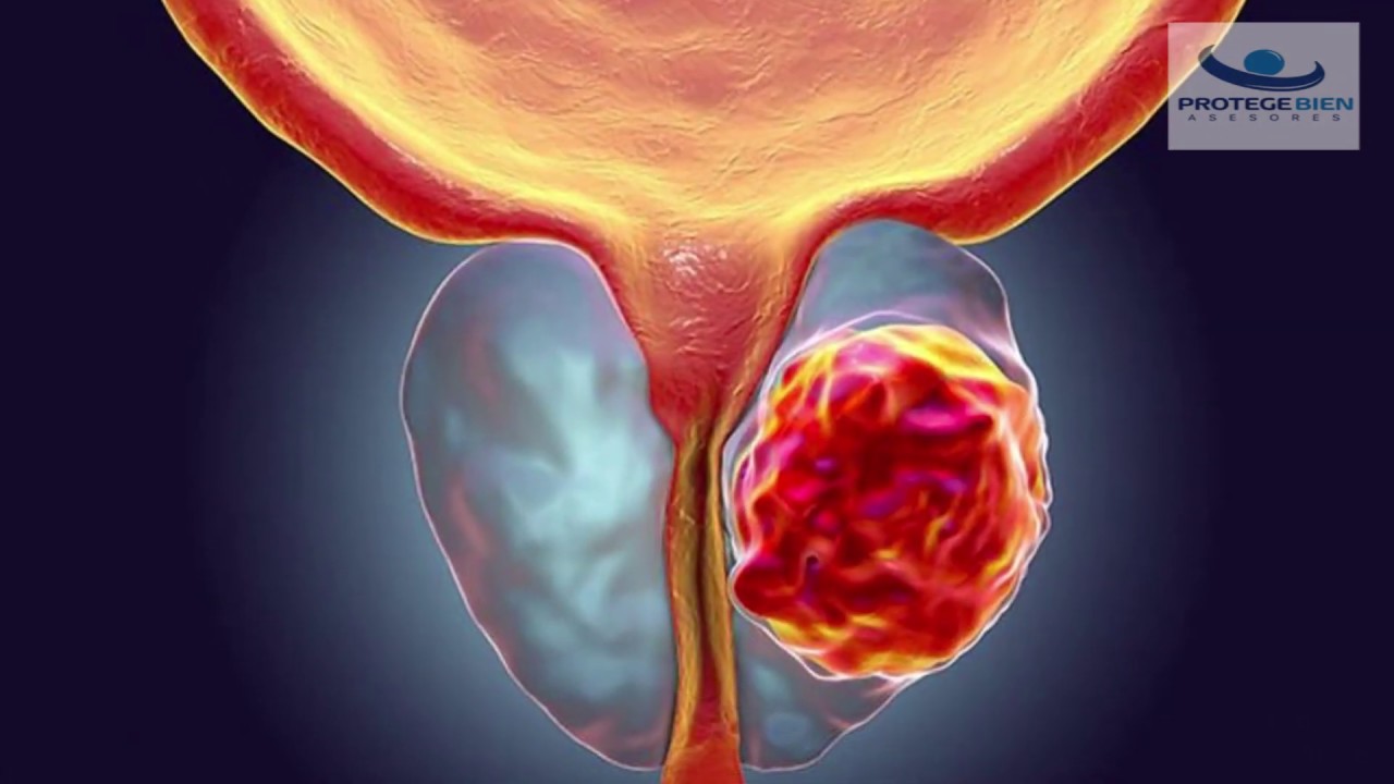 Sergio García Cruz-10