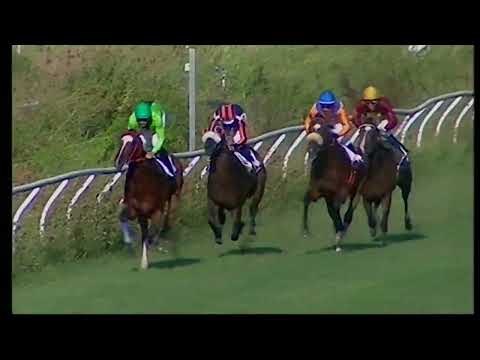 Napoli Galoppo 19/08/2022 - 2ª corsa