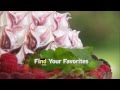 Spring Funding Drive March 2015 Fund Your Favorites