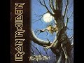 Iron Maiden - Fear Of The Dark 