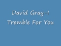 David Gray I Tremble For You