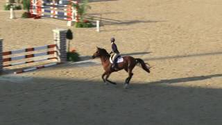 Video van Everglade VDL