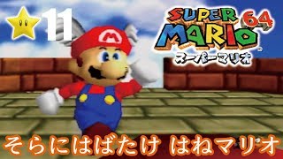 【スーパーマリオ６４】１日１スター　Part11　ゾノ＆ミズ実況　そらにはばたけはねマリオ【ヒルネブラック】