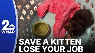 Save a kitten, lose your job: Parents rally around school bus driver who lost job