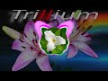 Trillium S3RL Feat Sara Super Slowed