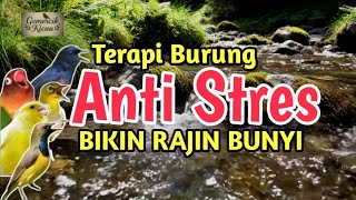 Download lagu SANGAT AMPUH‼️ Suara Gemericik Air Sungai Untuk Terapi Burung Macet Bunyi dan Stress mp3