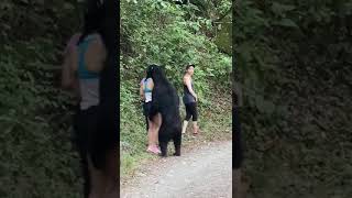 Bear attack full video || How to escape from bear🐻