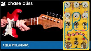 Video thumbnail for Chase Bliss Habit Echo Collector by Mike Hermans