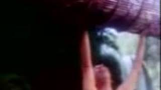 Download lagu Video pak pandir sepat bute ngakakkkkk mp3