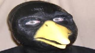 i&#39;m not a pedophile