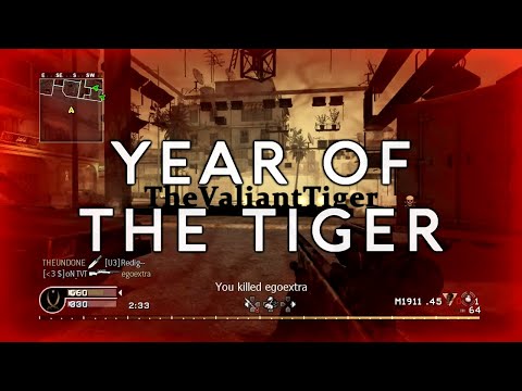 Year of the Tiger