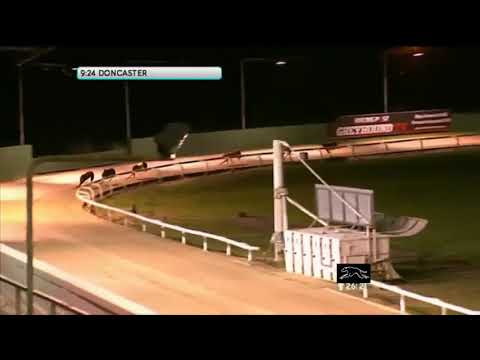 Alarming Khaos - British Bred Stakes - Doncaster