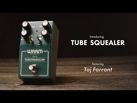 Warm Audio WA-TS Tube Squealer image 4