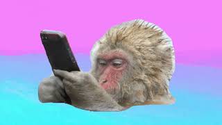 Maluku - Gevoelens (Official Lyric Video)