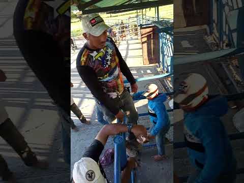 Arismendi Barinas Venezuela 🇻🇪