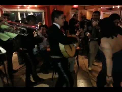 Promotional video thumbnail 2 for Mariachi Show Sol De Oro