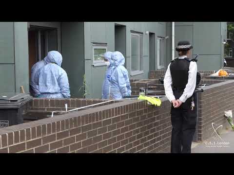 26 June 21. Murder Scene Images. Fatal Stabbing Incident. Miall Walk, Sydenham, SE26
