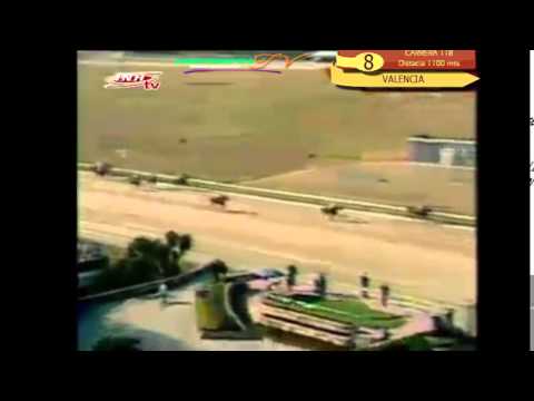 VALENCIA 8 CARRERA, VIERNES 13 DE MARZO DEL 2015