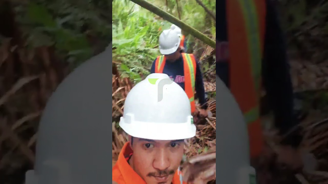 PPKH | Persetujuan Penggunaan Kawasan Hutan | PT. Imbang Tata Alam | Talamindo