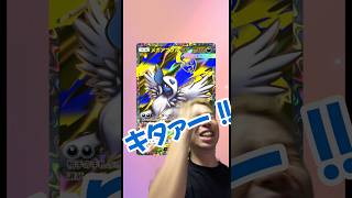 新パック50連でキタァー！！！#ポケポケ #メガライジングでメガアブソルとメガギャラドスを出す！！#pokepoke #pokemon #ポケモン