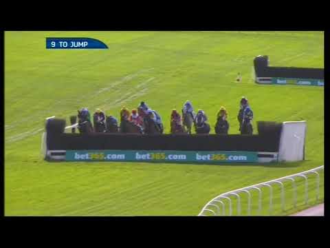 2014 bet365 Gold Cup Chase