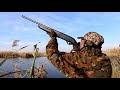 Ducks Hunting Romania 2016