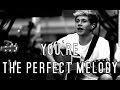 Niall Horan | You're the perfect melody 
